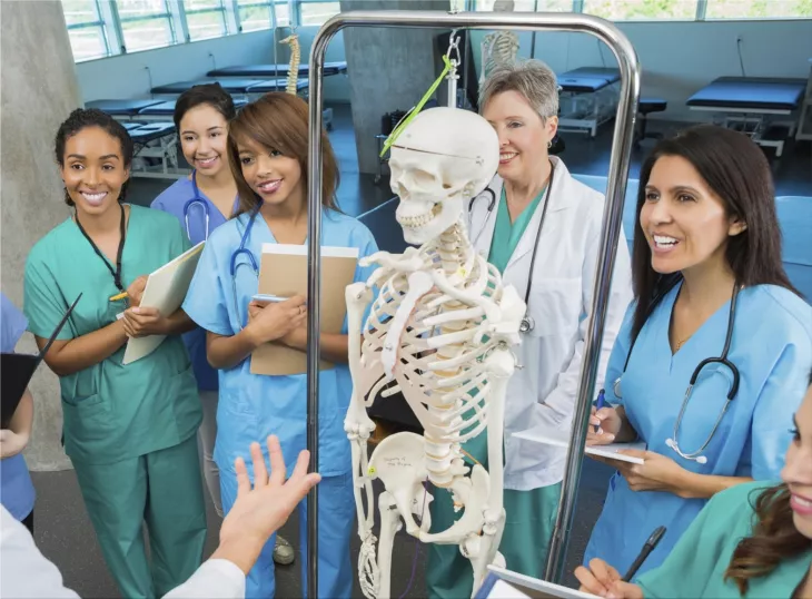 Which nation offers the least challenging path to a career in medicine?