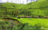 Best Family Tour Offers To Enjoy Unique Experiences In Kerala Hill Stations